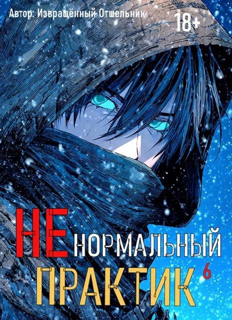 Обложка книги «Ненормальный практик 6»