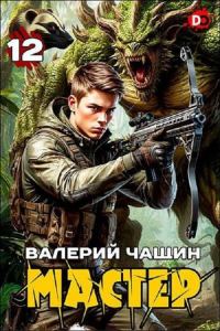 Обложка книги «Мастер 12»