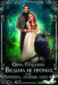 Обложка книги «Ведьма не промах, или Берегись, темный лорд»