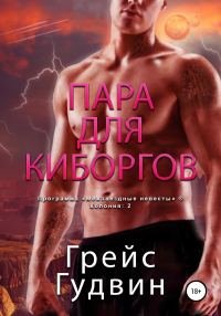 Обложка книги «Пара для киборгов»