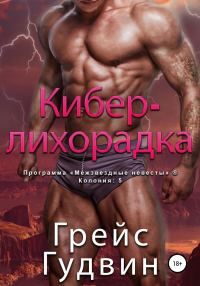 Обложка книги «Кибер-лихорадка»