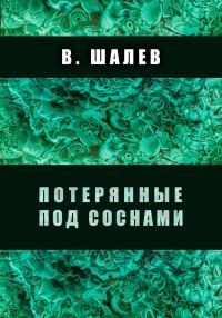 Обложка книги «Потерянные под соснами»