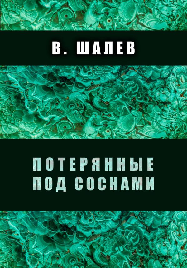 Обложка книги «Потерянные под соснами»