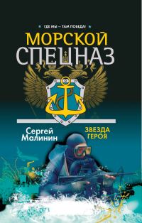 Обложка книги «Звезда героя»