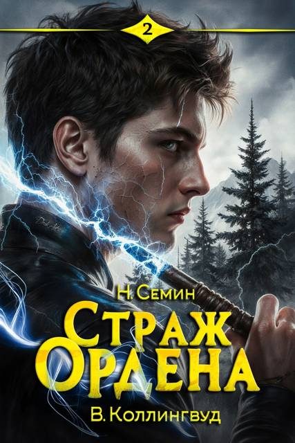 Обложка книги «Страж Ордена 2»