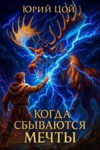 Обложка книги «Когда сбываются мечты»