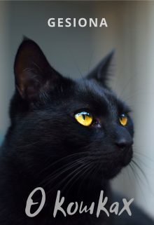 Обложка книги «О кошках»