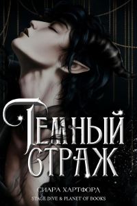 Обложка книги «Темный Страж»