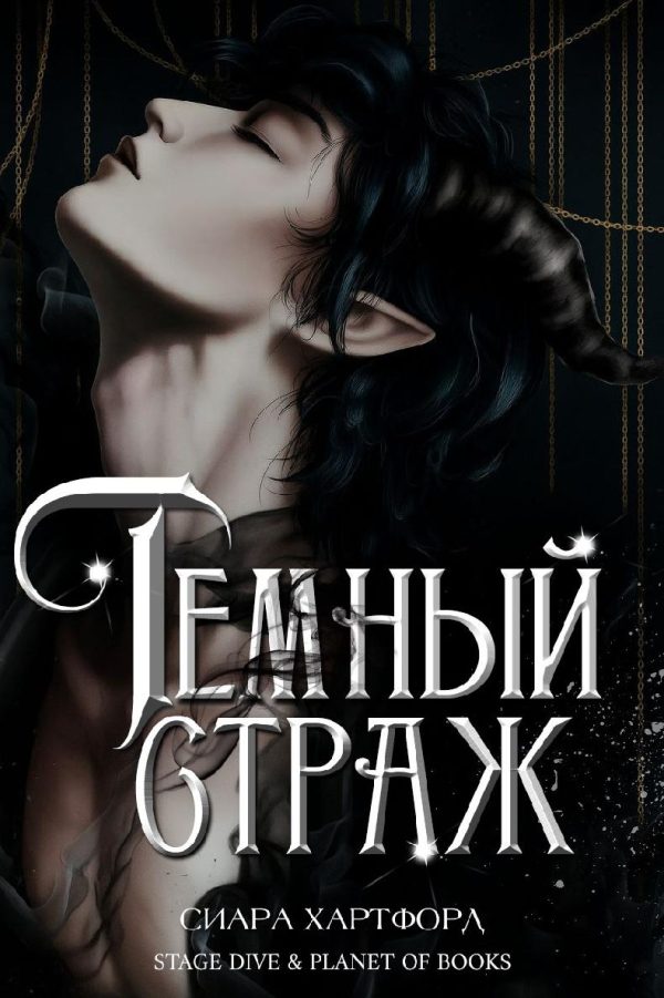 Обложка книги «Темный Страж»