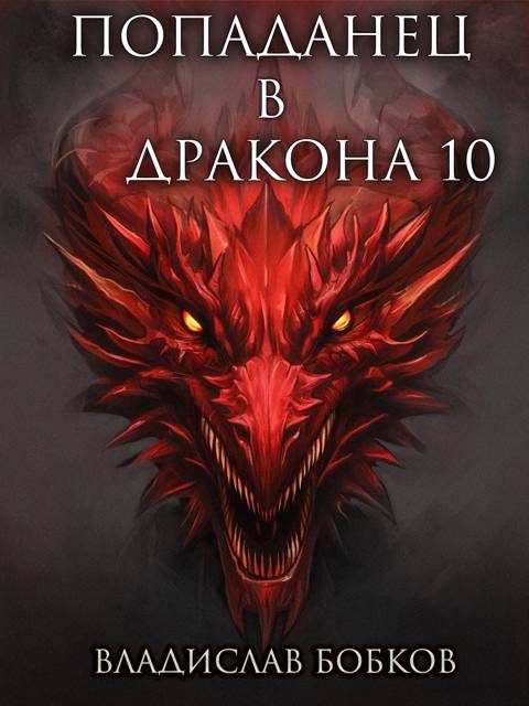 Обложка книги «Попаданец в Дракона 10»