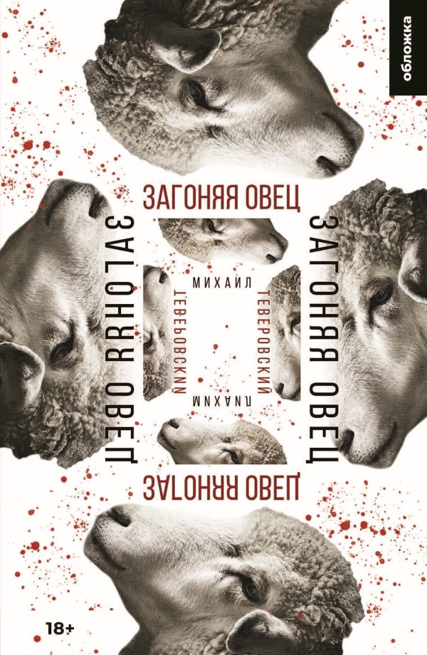 Обложка книги «Загоняя овец»