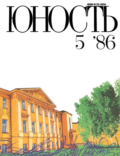 Обложка книги «Деревяшка»