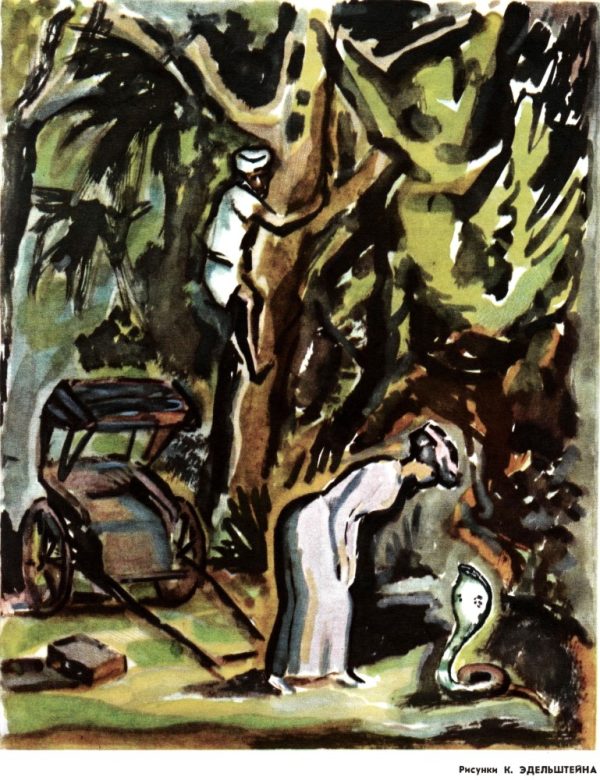 Обложка книги «Королева кобр»