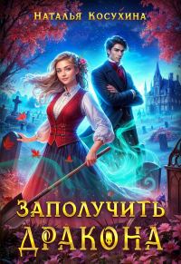 Обложка книги «Заполучить дракона!»