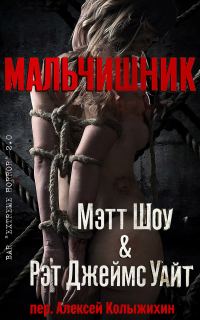 Обложка книги «Мальчишник»
