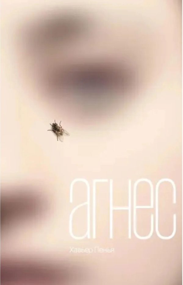 Обложка книги «Агнес»