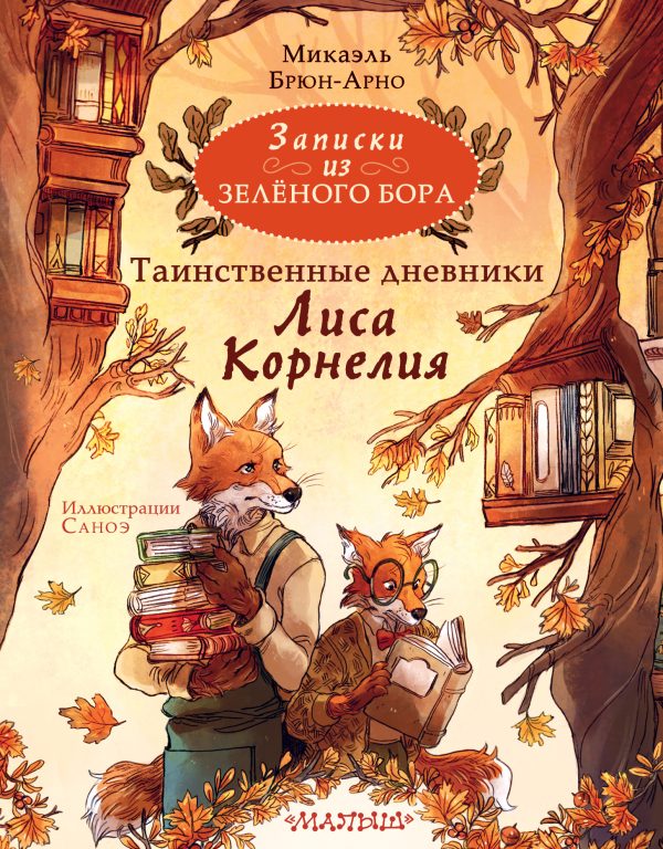Обложка книги «Таинственные дневники Лиса Корнелия»
