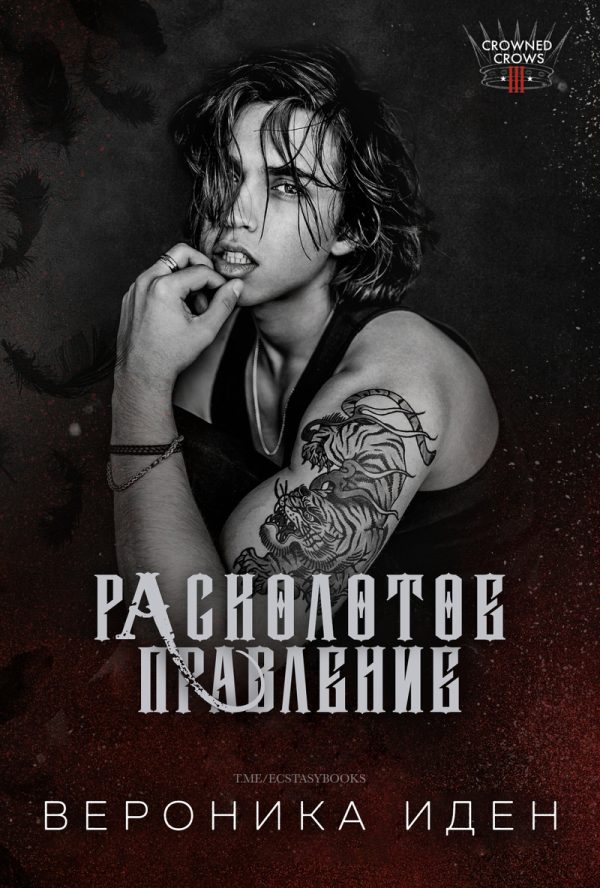 Обложка книги «Расколотое правление»