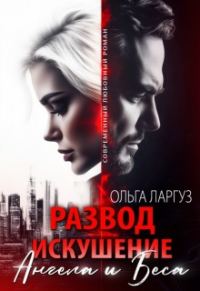 Обложка книги «Развод. Искушение Ангела и Беса»