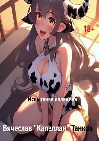 Обложка книги «Испытание паладина»