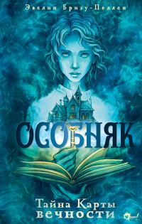 Обложка книги «Тайна Карты вечности»