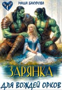 Обложка книги «Зарянка для вождей орков»