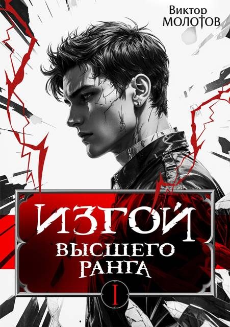 Обложка книги «Изгой Высшего Ранга»