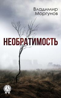 Обложка книги «Необратимость»