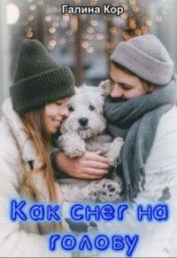 Обложка книги «Как снег на голову»