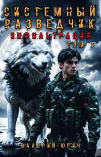 Обложка книги «Системный разведчик. Инфильтрация. Том 1»
