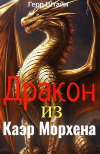 Обложка книги «Дракон из Каэр Морхена»