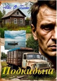 Обложка книги «Подкидыш»
