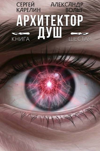 Обложка книги «Архитектор Душ VI»