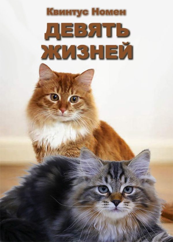 Обложка книги «Девять жизней»