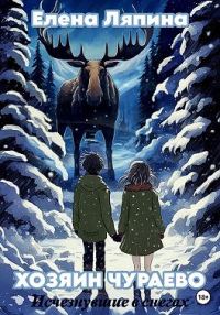 Обложка книги «Хозяин Чураево. Исчезнувшие в снегах»