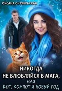 Обложка книги «Никогда не влюбляйся в мага, или Кот, компот и Новый год»