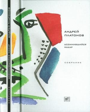 Обложка книги «Том 1. Усомнившийся Макар»