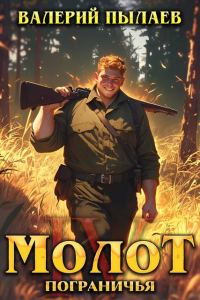 Обложка книги «Молот Пограничья. Книга IV»