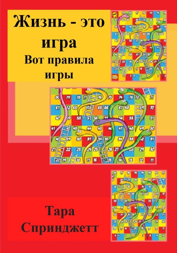 Обложка книги «Жизнь – это игра. Вот правила игры»