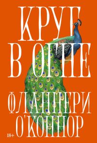 Обложка книги «Круг в огне: Рассказы»