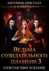 Обложка книги «Ведьма созидательного пламени. Книга 3»