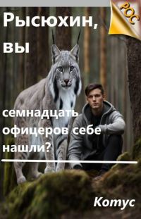 Обложка книги «Рысюхин, вы семнадцать офицеров себе нашли?»