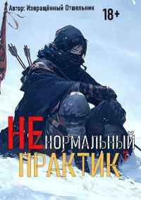 Обложка книги «Ненормальный практик 7»