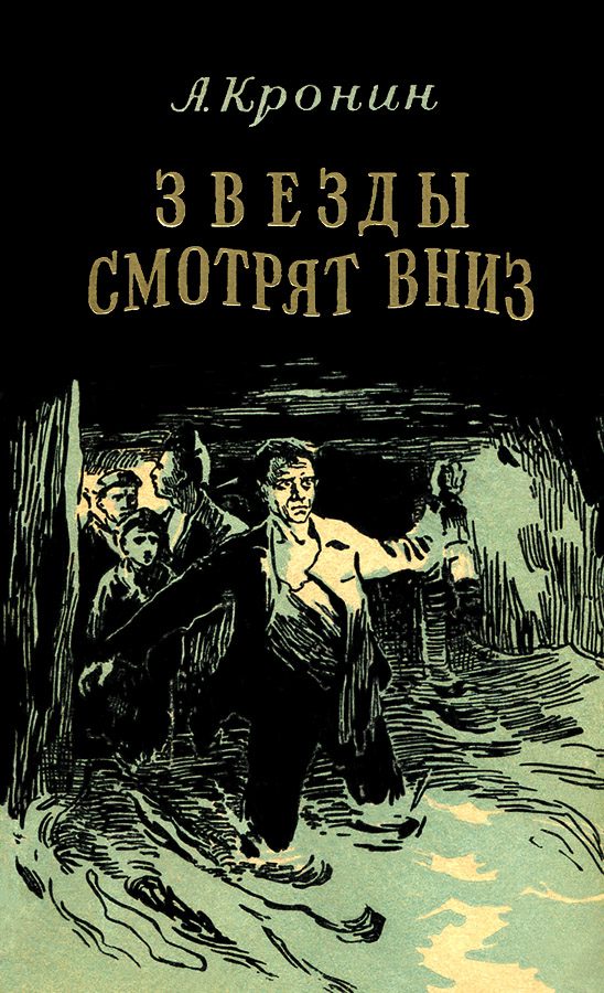 Обложка книги «Звезды смотрят вниз»