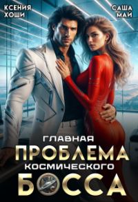 Обложка книги «Главная проблема космического босса»
