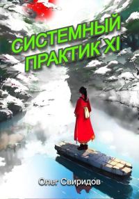 Обложка книги «Системный практик XI»