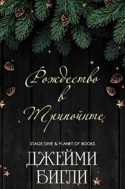 Обложка книги «Рождество в Трипойнте»