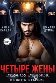 Обложка книги «Четыре жены моего мужа. Выжить в гареме»