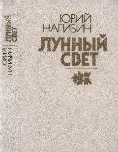 Обложка книги «Вася, чуешь??..»