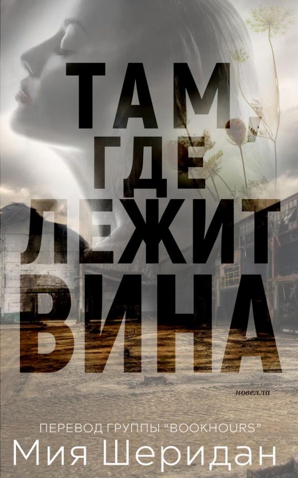 Обложка книги «Там, где лежит вина»